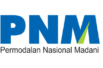 Logo Website IRS PT Pemodalan Nasional Madani