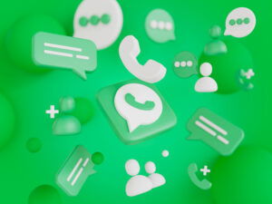 wa business untuk umkm